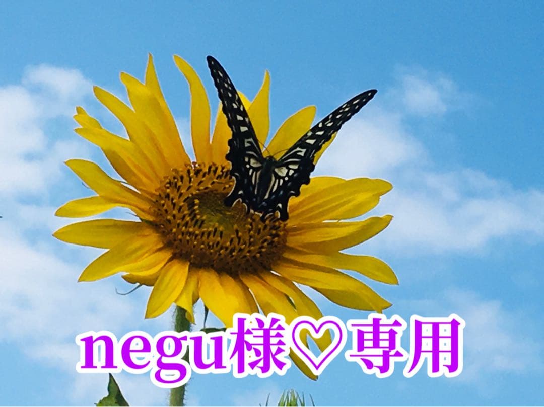 negu様❤️おまとめ専用ページです。3/11まで♡