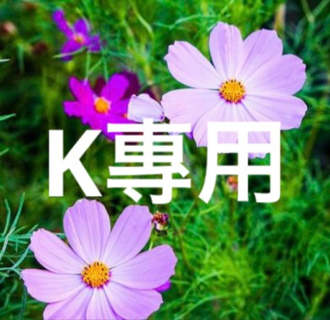 K專用