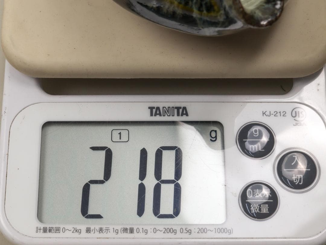 朝鮮唐津 片口鉢