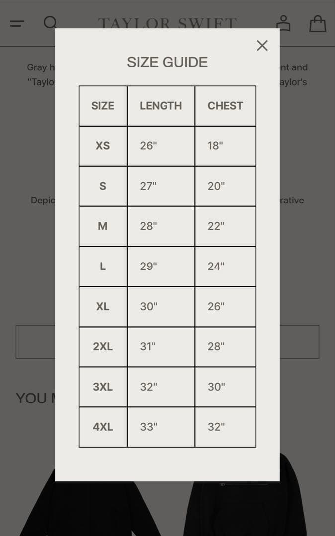 ミュージシャン Official Taylor Swift 1989TV Gray Hoodie