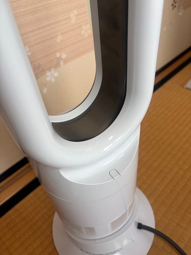 Dyson ホットアンドクール　2019製