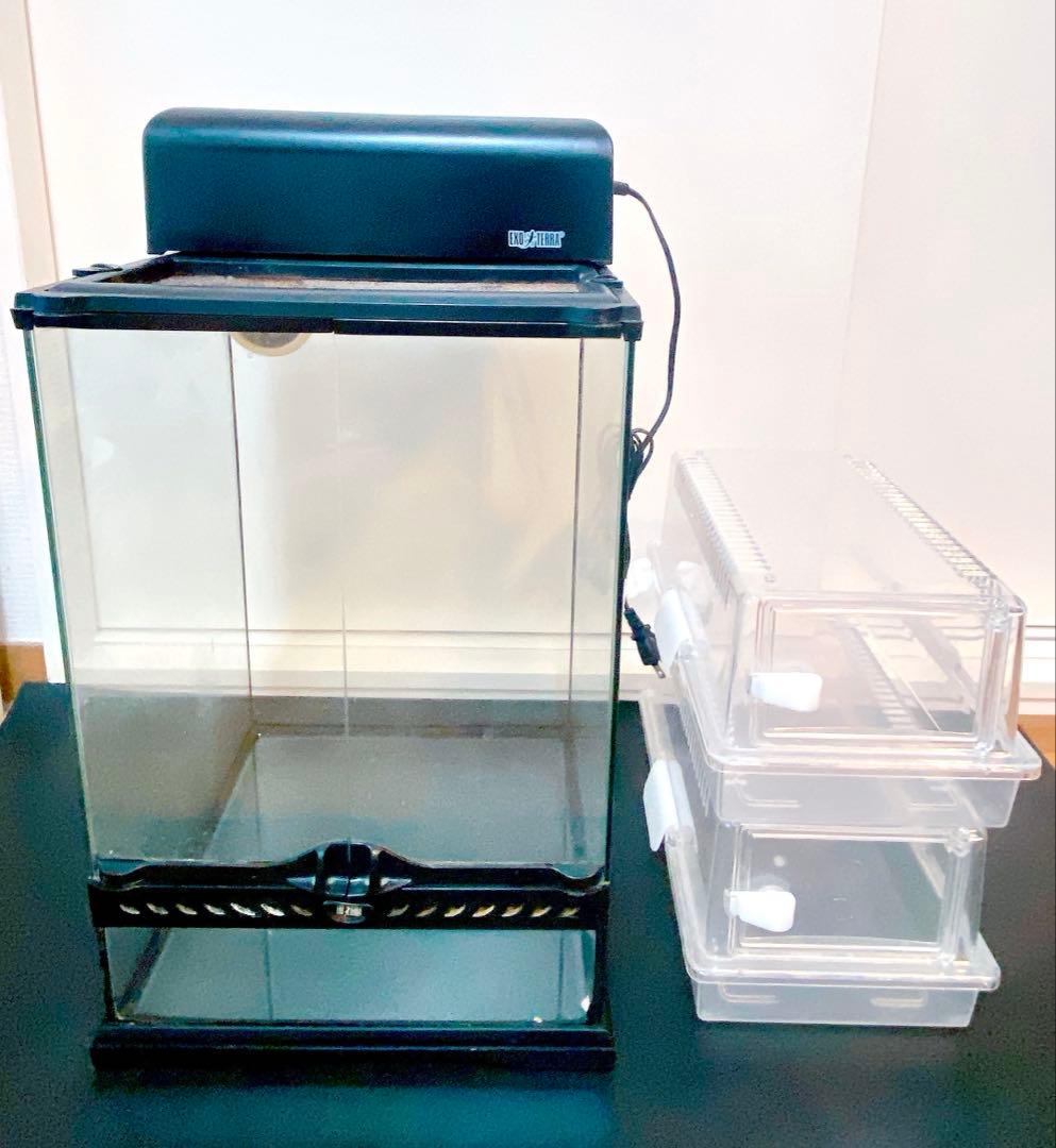 グラステラリウム3045 レプティギア300 2個 コンパクトトップ30 セット