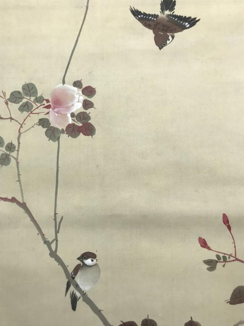 【真作】秀峰/薔薇に雀図/バラ図/雀図/花鳥図/掛軸/名家伝来/AC-772