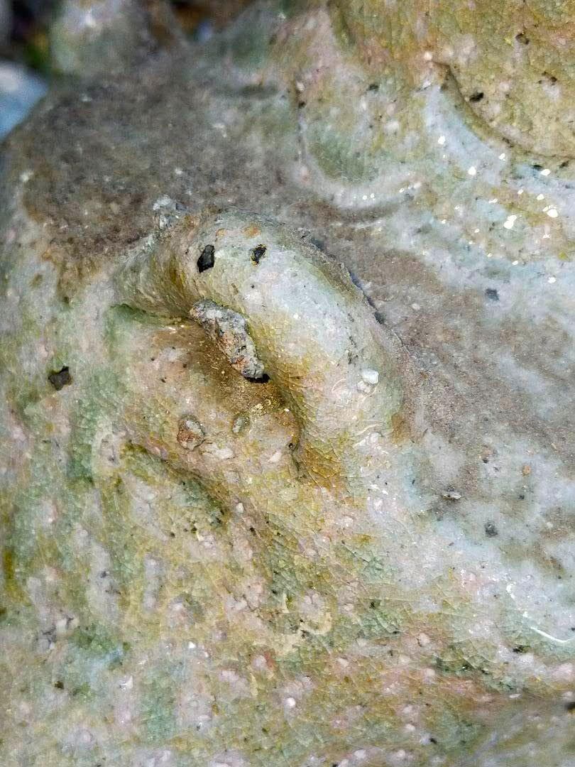 ♥伊賀　四耳　花入れ　花瓶　花器　骨董品　古玩