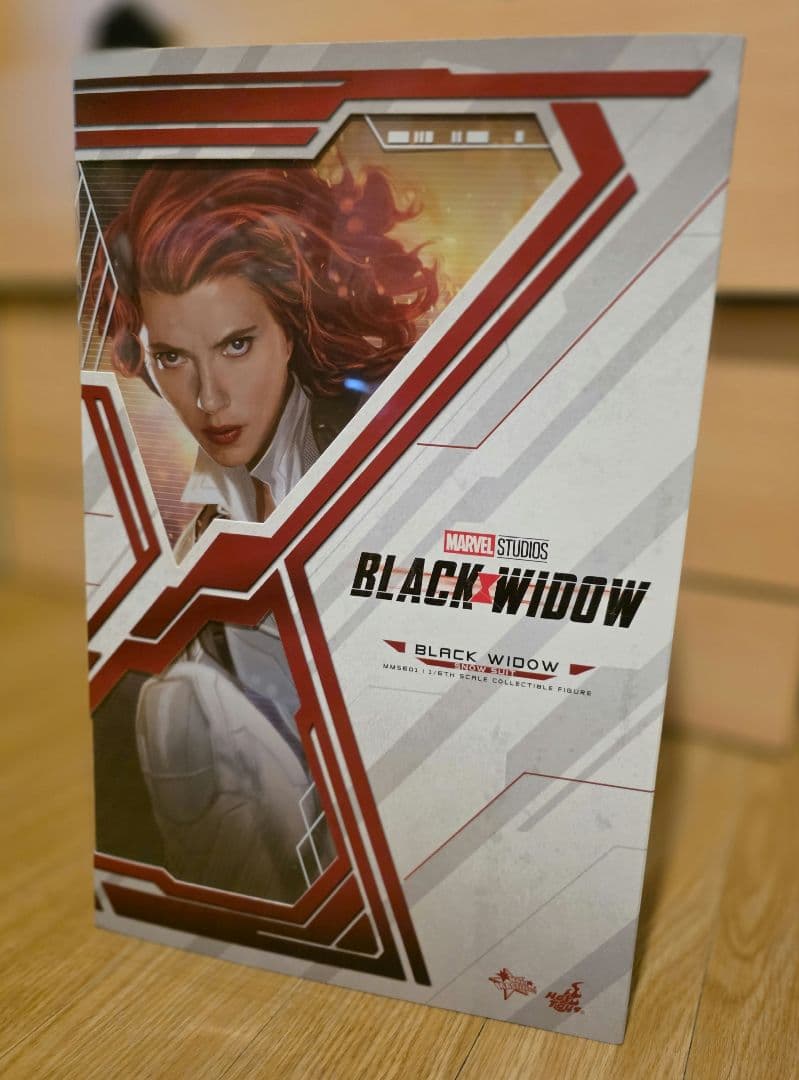 k*n様 【訳あり】ホットトイズ ブラックウィドウ スノースーツ版