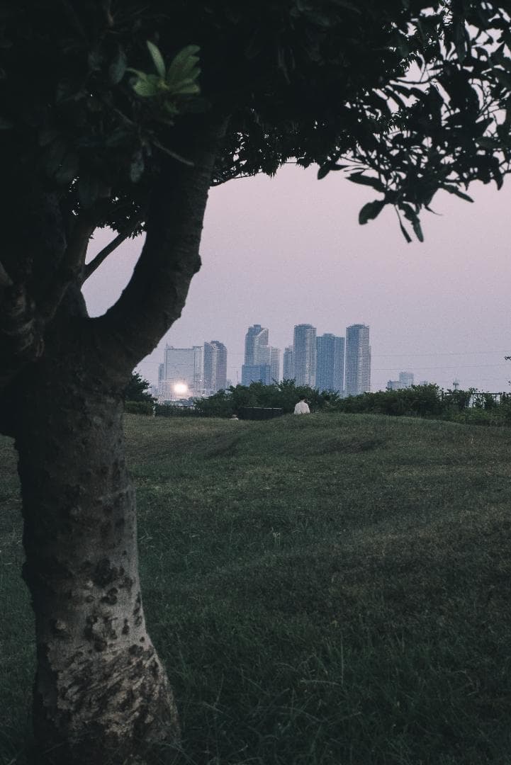 木村文乃使用モデル！Leica Elmarit 90mm F2.8オールドレンズ