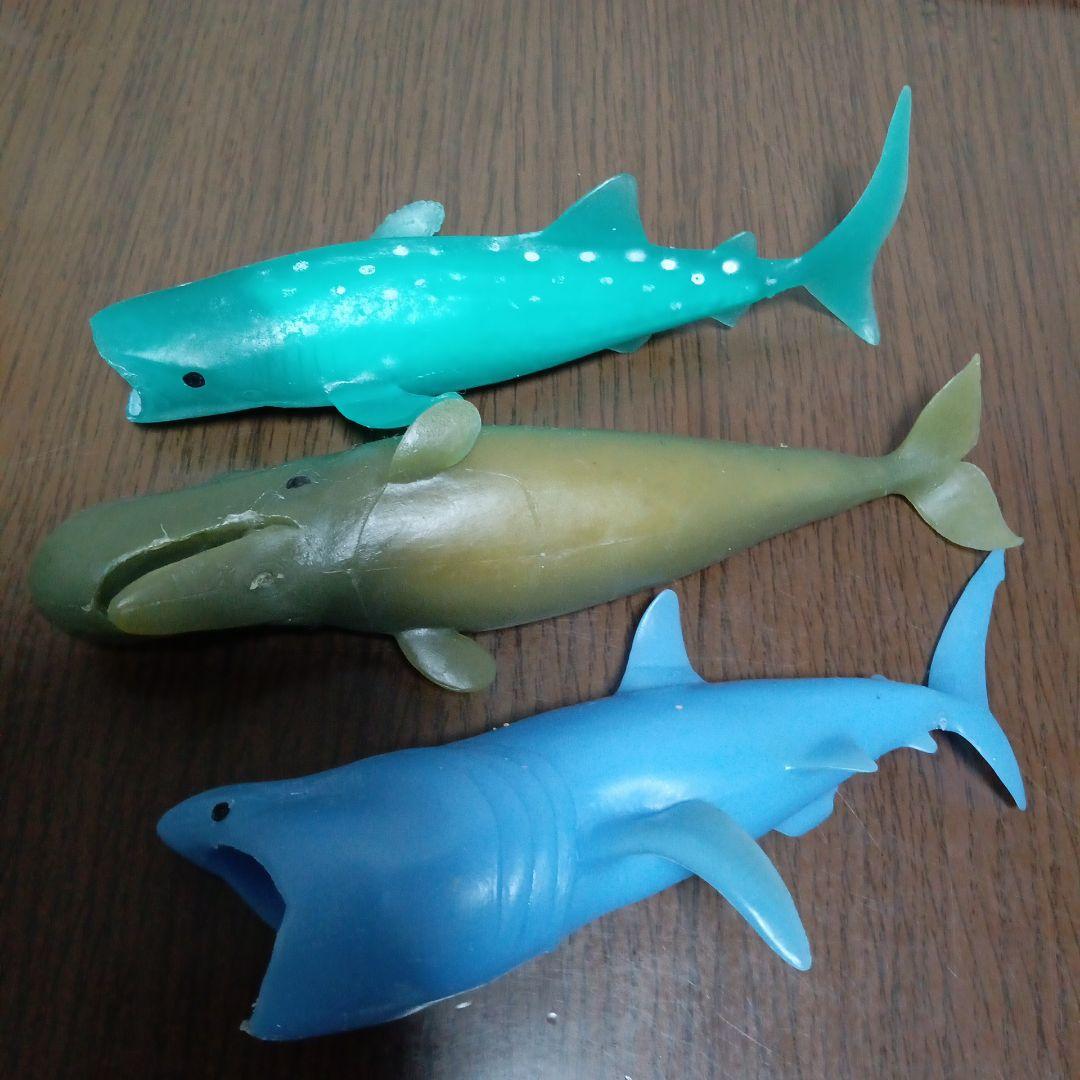 クジラアンドコー コンプリート