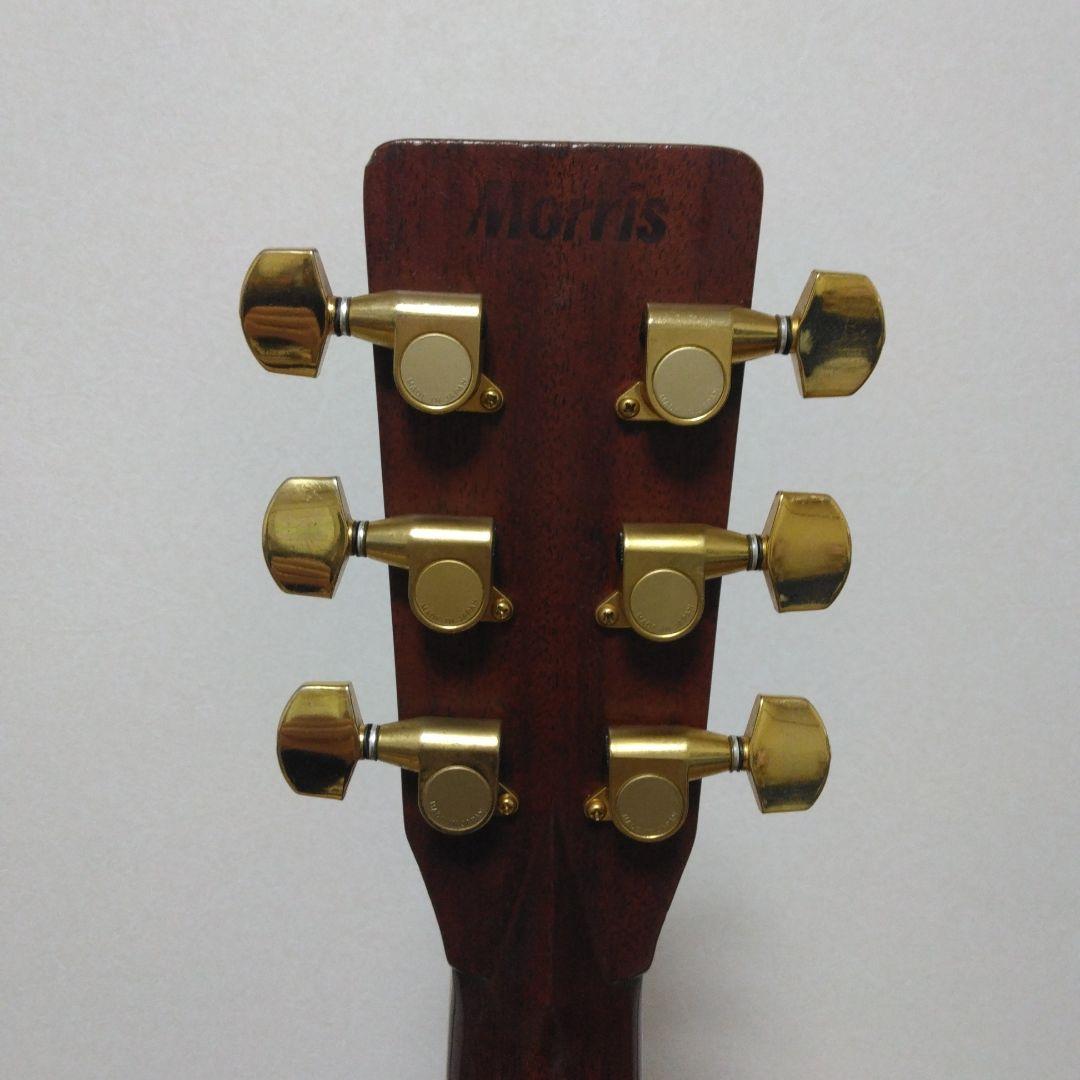 Morris モーリス　TF-100 アコースティックギター