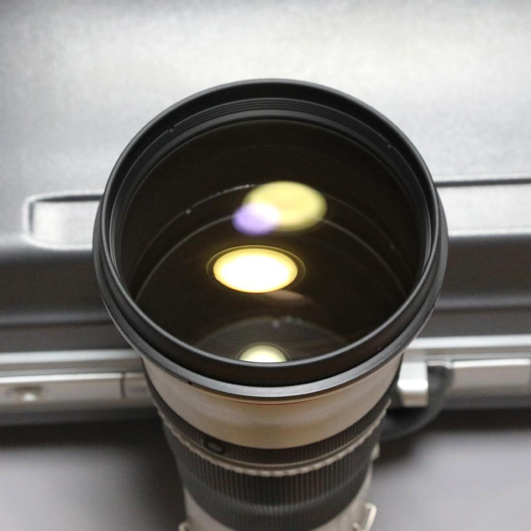 CANON キャノン EFレンズ EF600mm F4L IS II USM