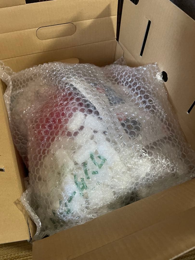 ドゥカティ　コルセV5 RX-7X フルフェイスヘルメット