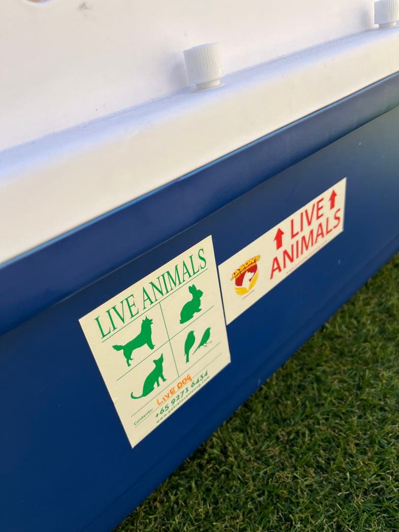 ホワイトブルー　犬　ケージ　クレート