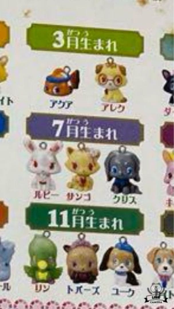 ジュエルペット　ジュエルチャーム　ジュエルボックス