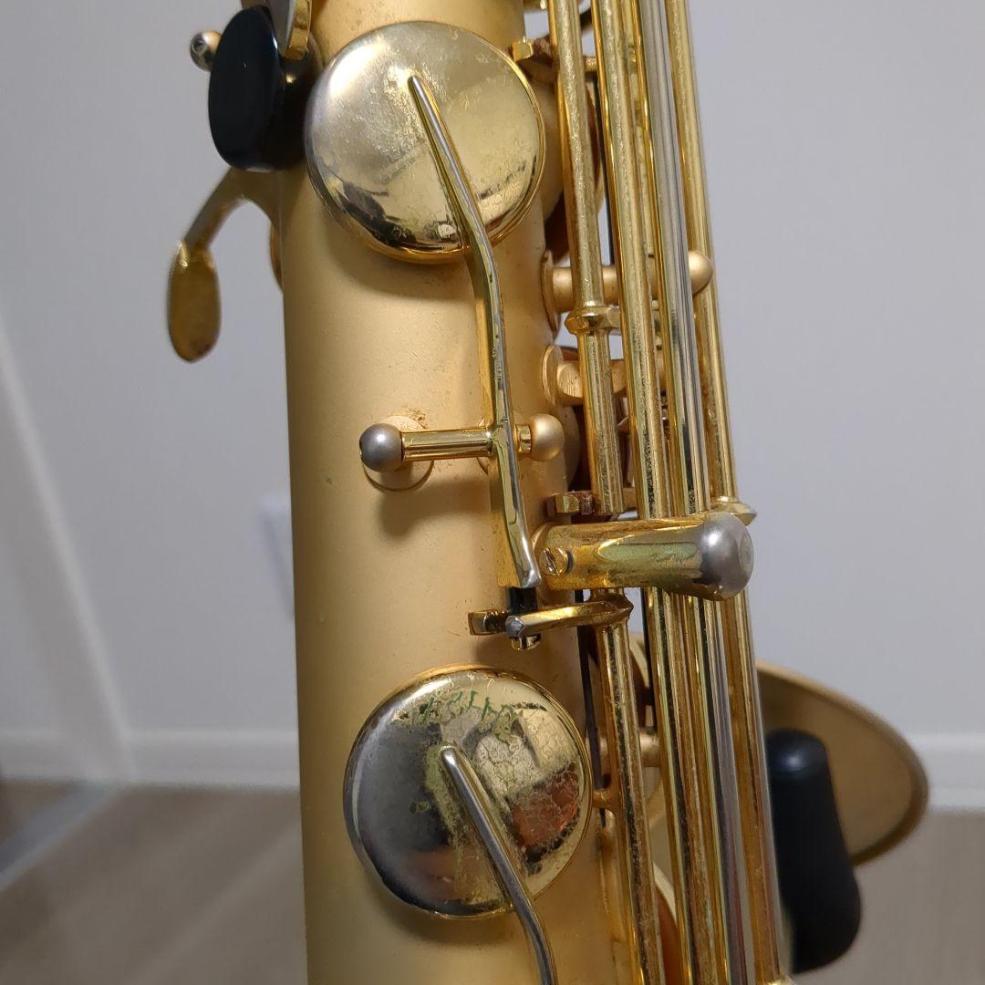 borgani pearl gold ボガーニ　テナーサックス