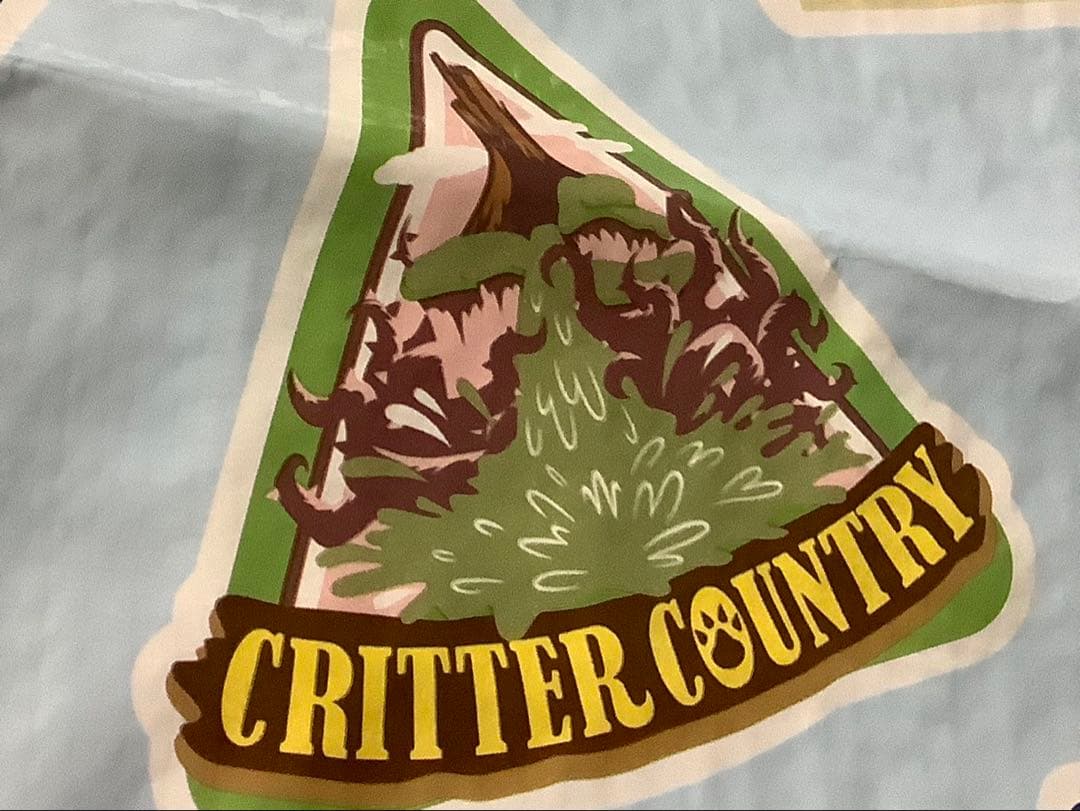 【確認画像】ディズニー　バケパクッション&レジャーシートセット