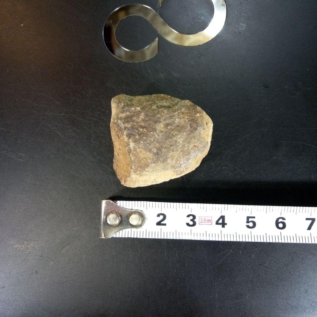 三葉虫　化石　ボリビア産　南アメリカ　trilobite　南米産fossil③