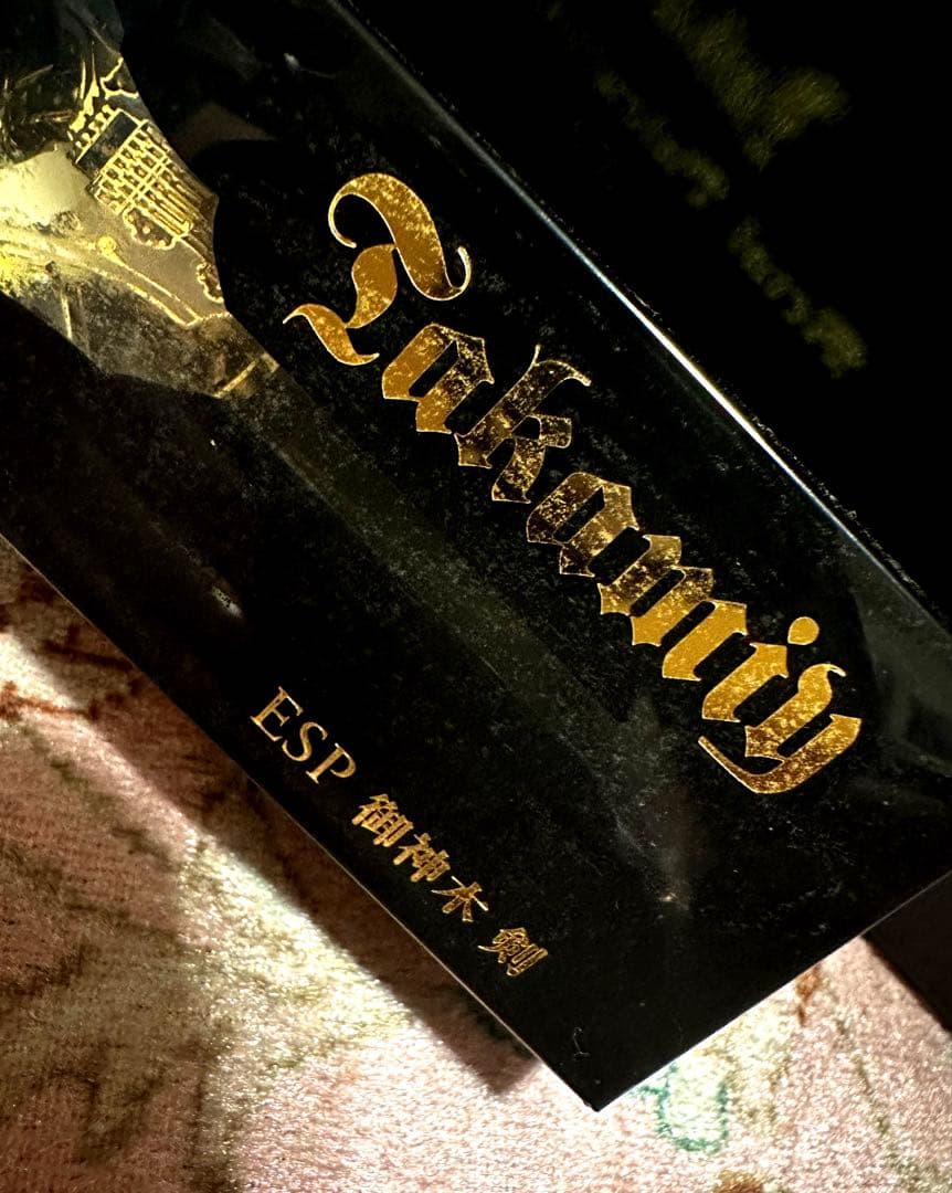 希少！★高見沢さん★御神木ギター 剣★