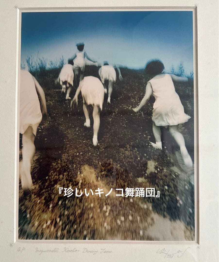 『珍しいキノコ舞踊団』オリジナルプリントフォト1993一点もの ART