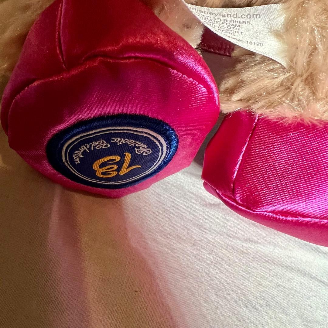 香港ディズニー　新品　限定　13周年 ダッフィー　シェリーメイ　海外ディズニー