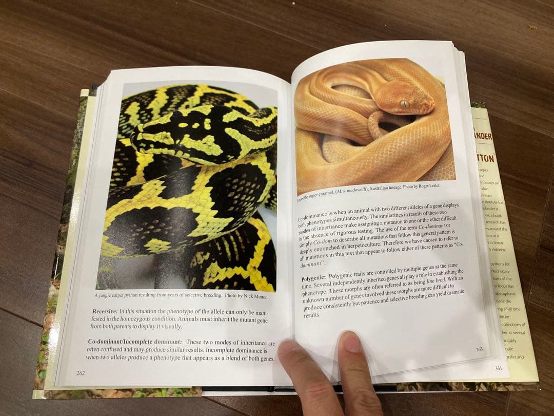 洋書 Complete Carpet Python 以下検索 蛇 パイソン ボア