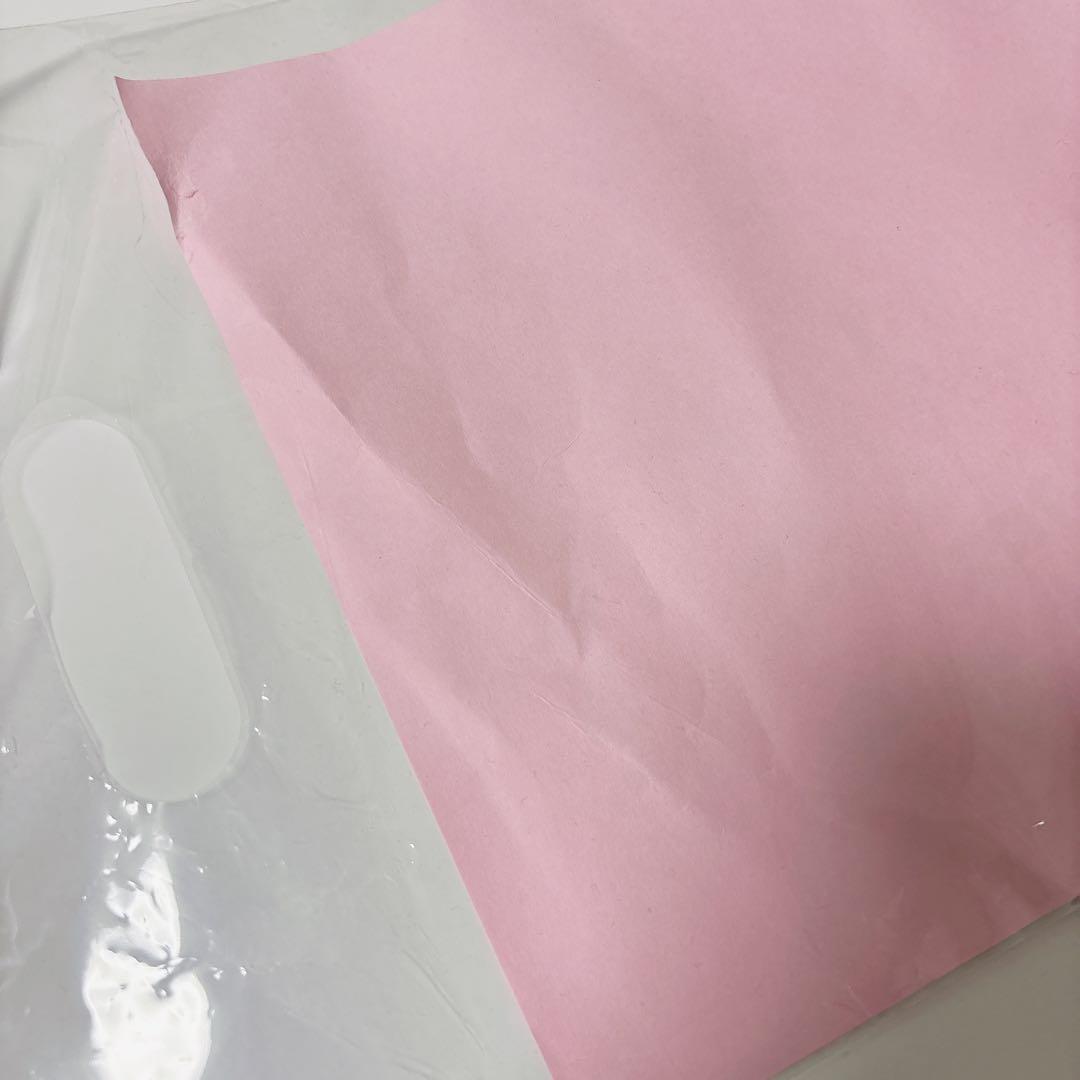 AKB48 千葉恵里 劇場 直筆プロフィール 最終値下げ