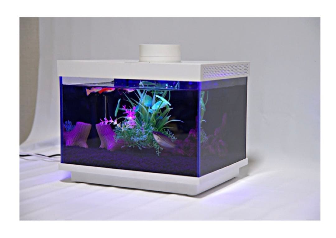 LEDアクリル水槽 自動給餌・温度調整付き