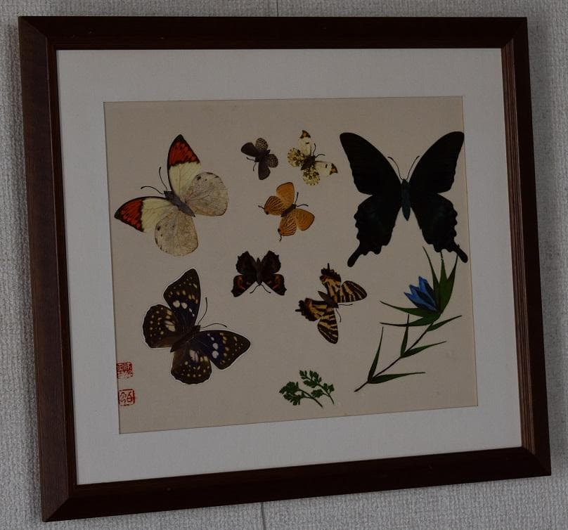 工芸作品・蝶　草花　飼育天然記念物採集地　信州/博物館・教材