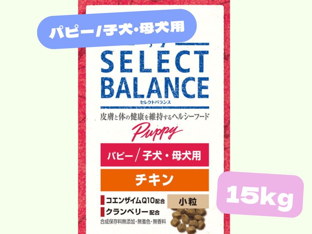 ★セレクトバランス　パピー/子犬・母犬用★チキン小粒15kg!