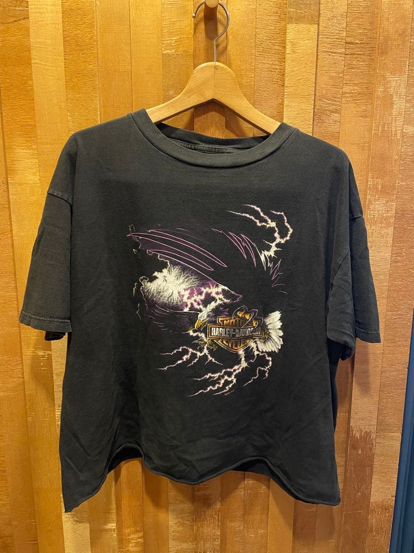 ［希少］ハーレーダビッドソン　サンダー　イーグル　XL