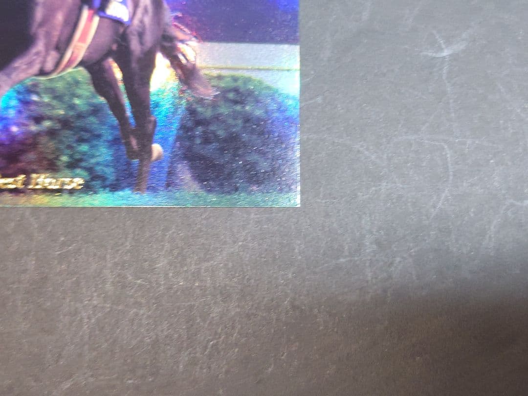 【非売品】サラブレッドカード2000下半期 プレゼント ナリタブライアン カード