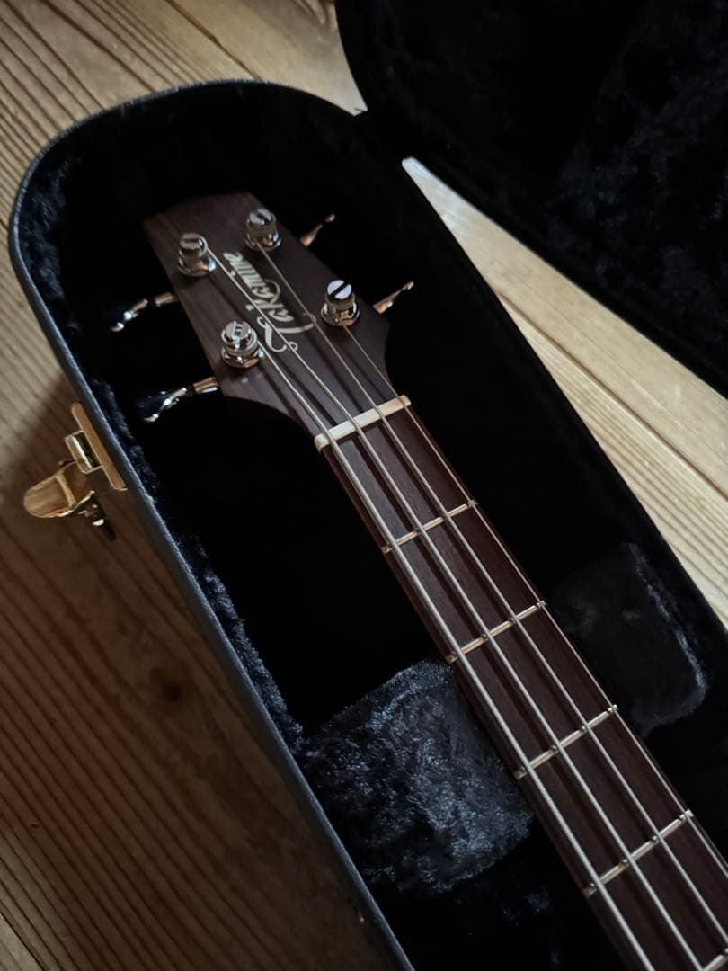 TAKAMINE PB-15 アコースティックベース