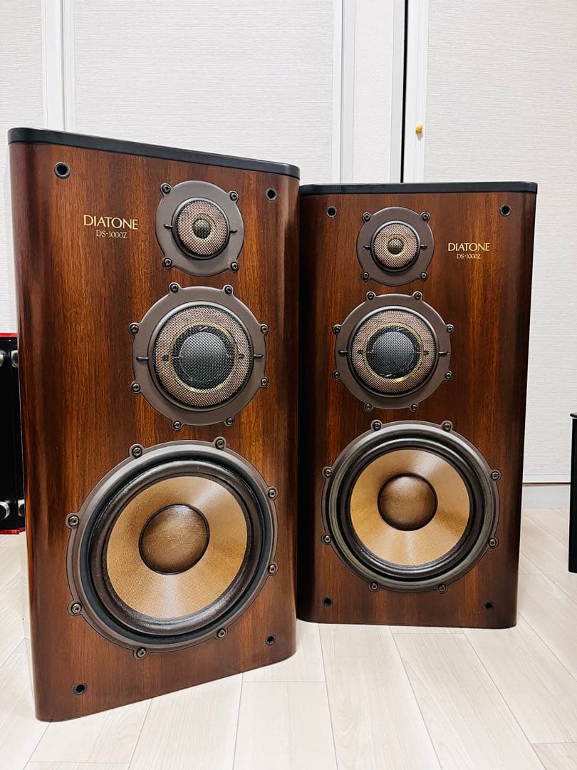 DIATONE DS-1000Z (godou様の専用品です。)