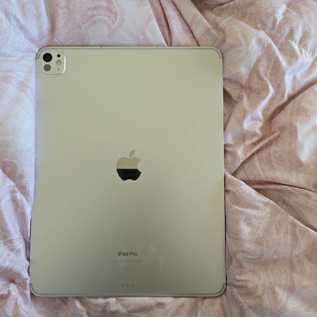 iPad Pro 13インチ M4 256GB+Apple Pencil Pro