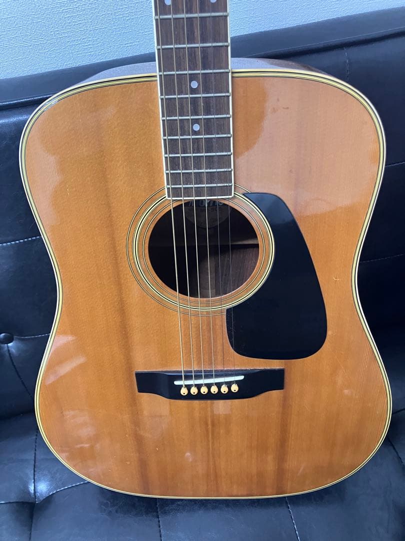 【Morsris/モーリス】MD-505 アコースティックギター アコギ 日本製