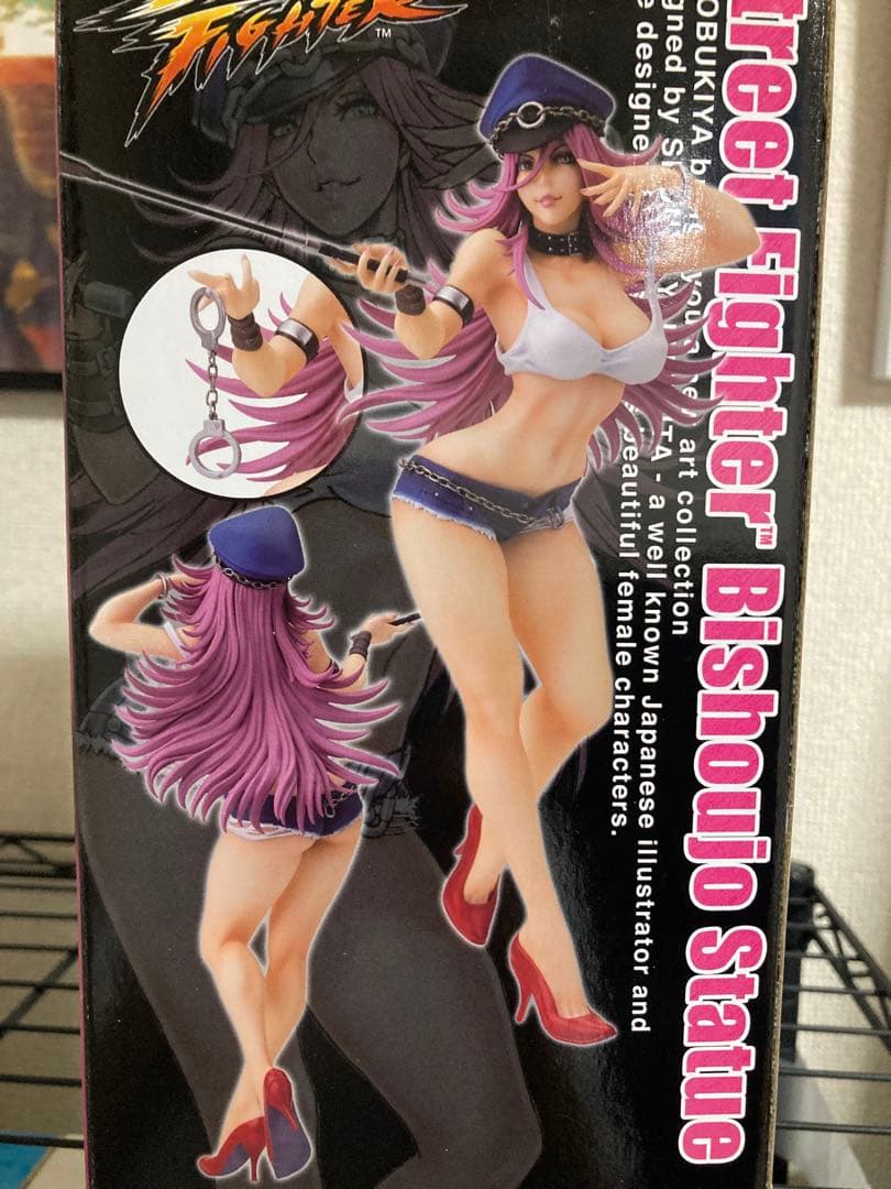 ストリートファイター 美少女　ポイズン　コトブキヤ