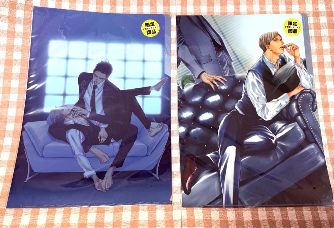 囀る鳥は羽ばたかない A4クリアファイル3ポケットA矢代＆百目鬼アニメガ限定