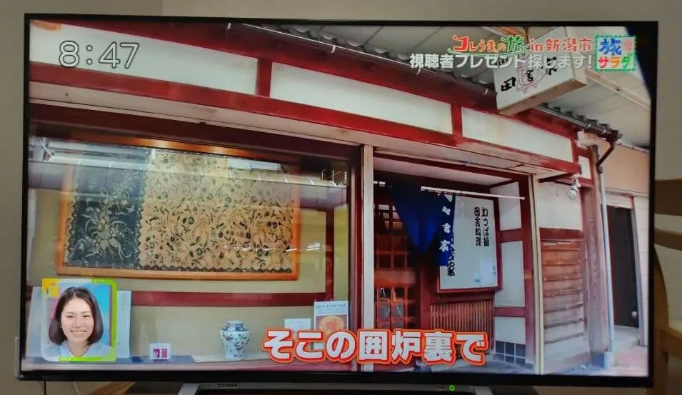 テレビ TOSHIBA REGZA 50M520X