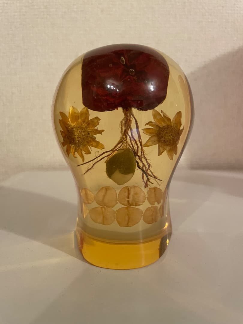 dugudagii ドゥグダギ レジン スカル　文鎮　ペーパーウエイト