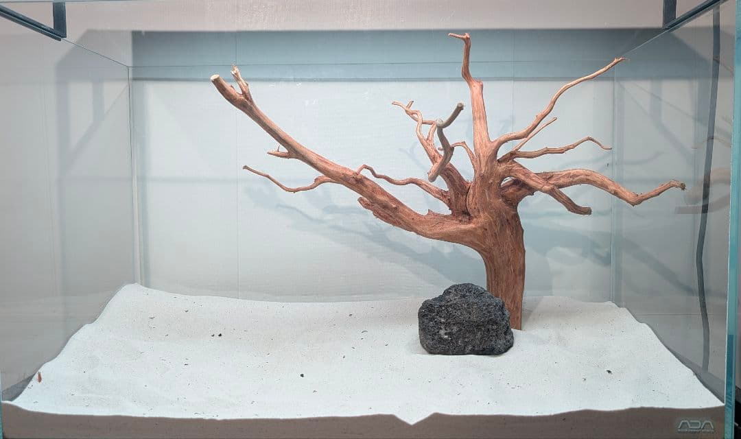 スマトラブランチウッド【SBC132】アクアリウム 水槽 流木 まとめ買い対応