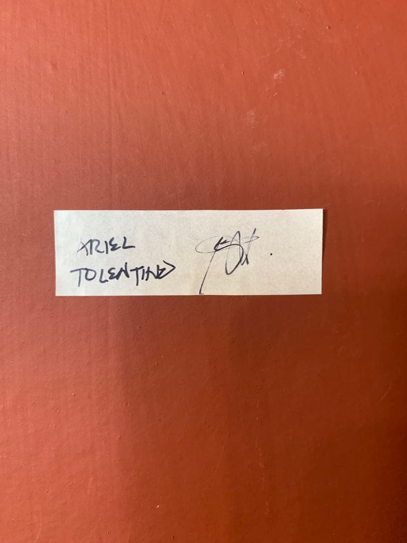 ザ・ベアキングダム アレックス テディベア 三英貿易