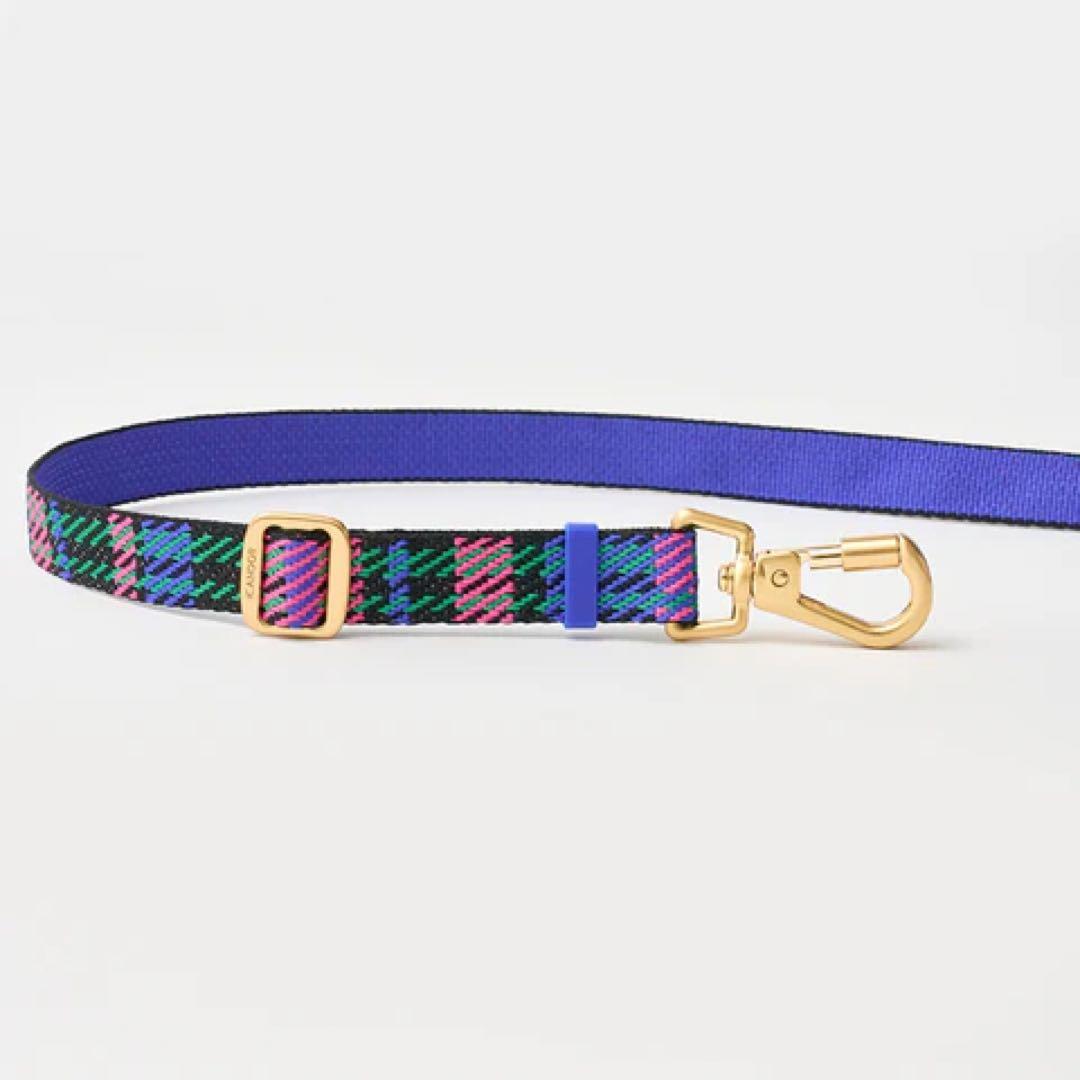 【ICANDOR】 首輪 ハーネス ショルダーリード 3点セット