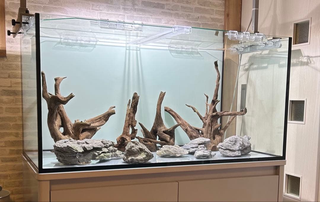 SAKURA 流木・岩セット