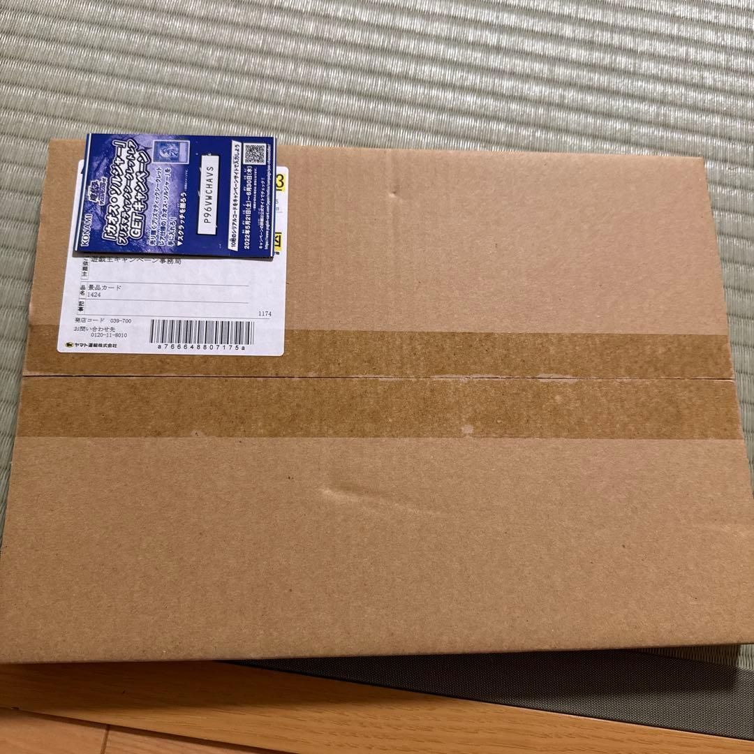 【完全新品未開封】カオスソルジャー プリズマ　3000枚　限定