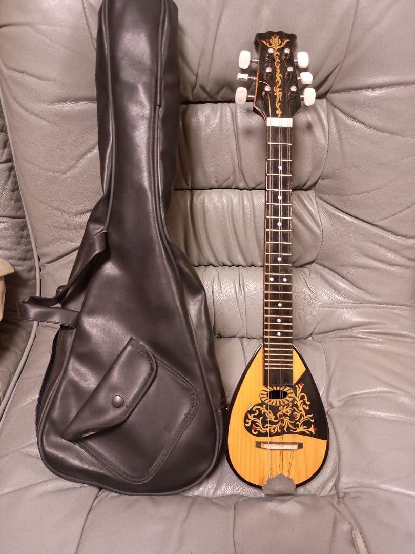 美品 希少品 花模様 マンドリン ケース付