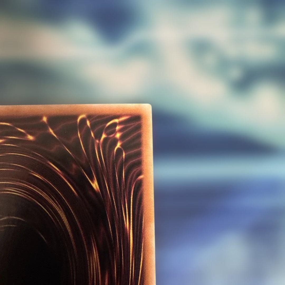 遊戯王　灰流うらら はるうらら　25th 絵違い　クオシク　初期傷あり