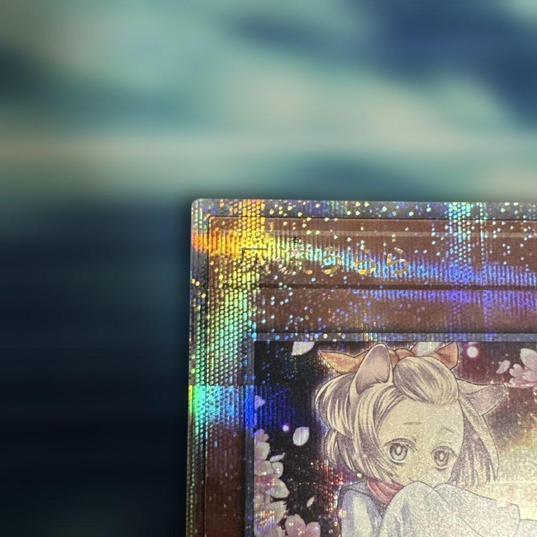 遊戯王　灰流うらら はるうらら　25th 絵違い　クオシク　初期傷あり