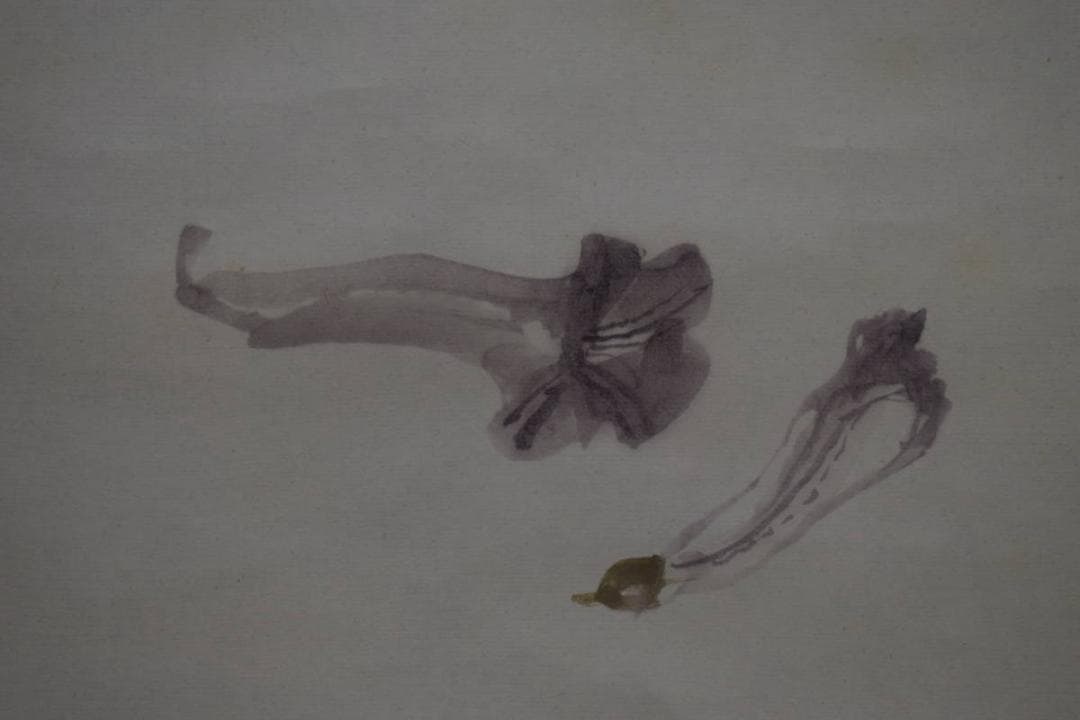 真作/藤井松山/花/野菜図/藤井広益の子/布袋屋掛軸HI-19