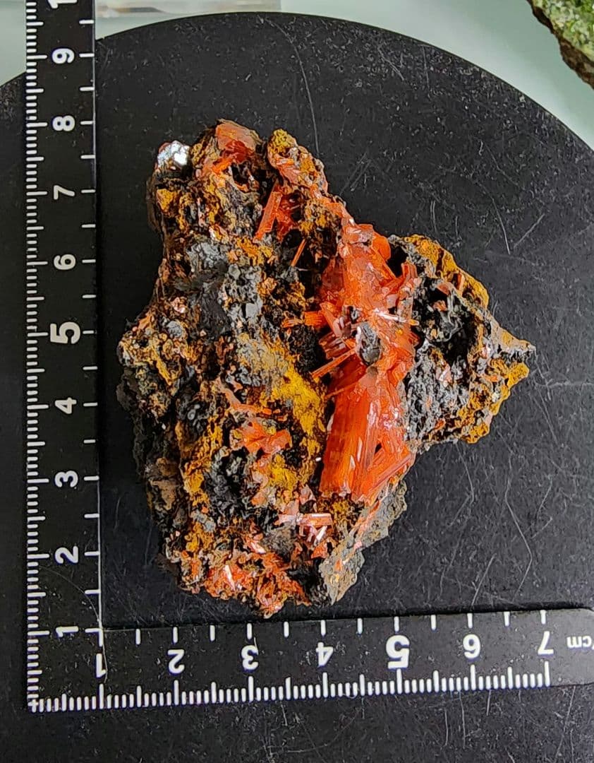 レア◇クロコイト