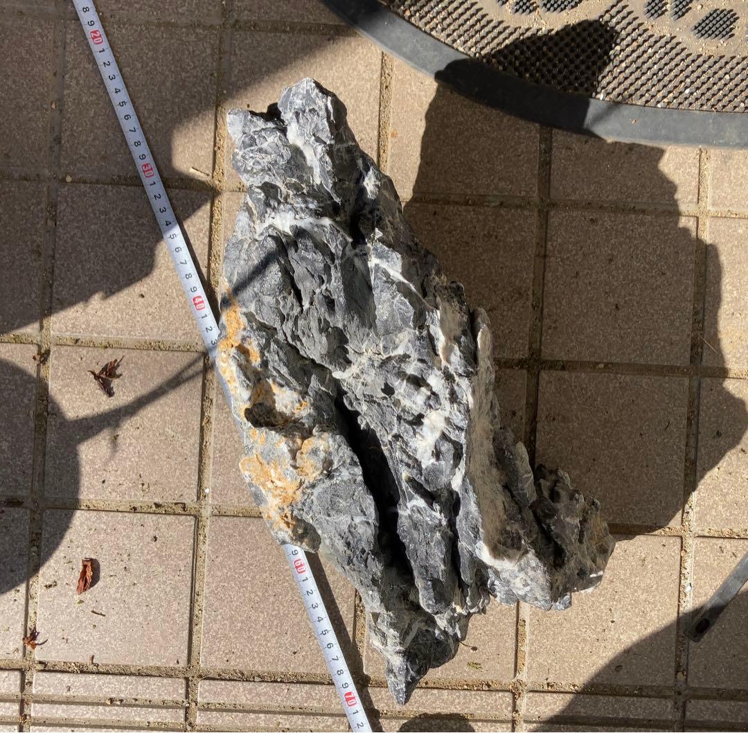 龍王石　ADA アクアリウム　特大　親石　石組レイアウト　水草　水槽