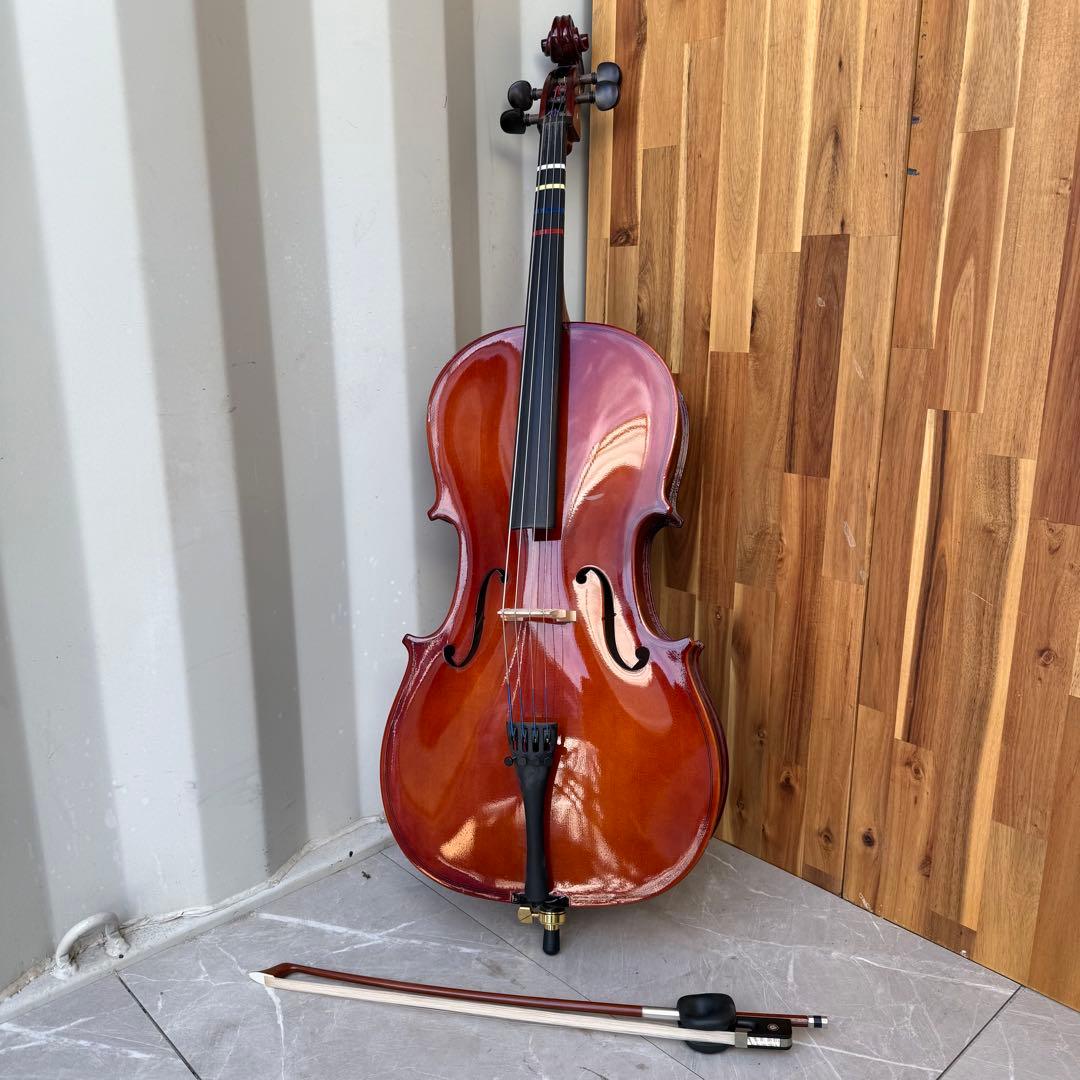 激安早い者勝ち✨ チェロ　Carlo Giordano SC-100