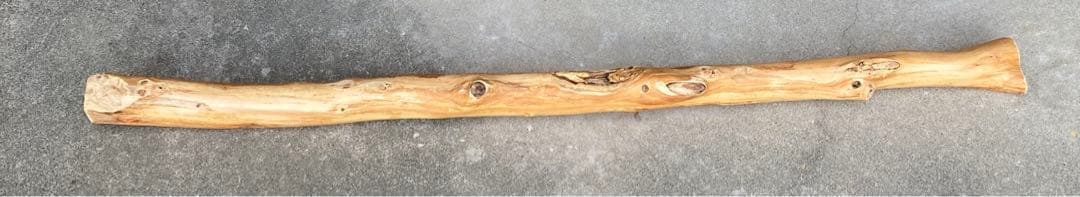 希少　樹齢150〜200年　杉枝　約143cm 鑑賞　庭　インテリア 骨董　華道